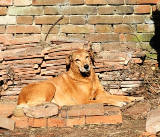 Photo_user_813975a4ef5b3884cd9651cc715fb7f0b3474ba43d8d