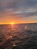 User_1248985bfa6d25ff87693e2383b174b7bf21d76ae9373